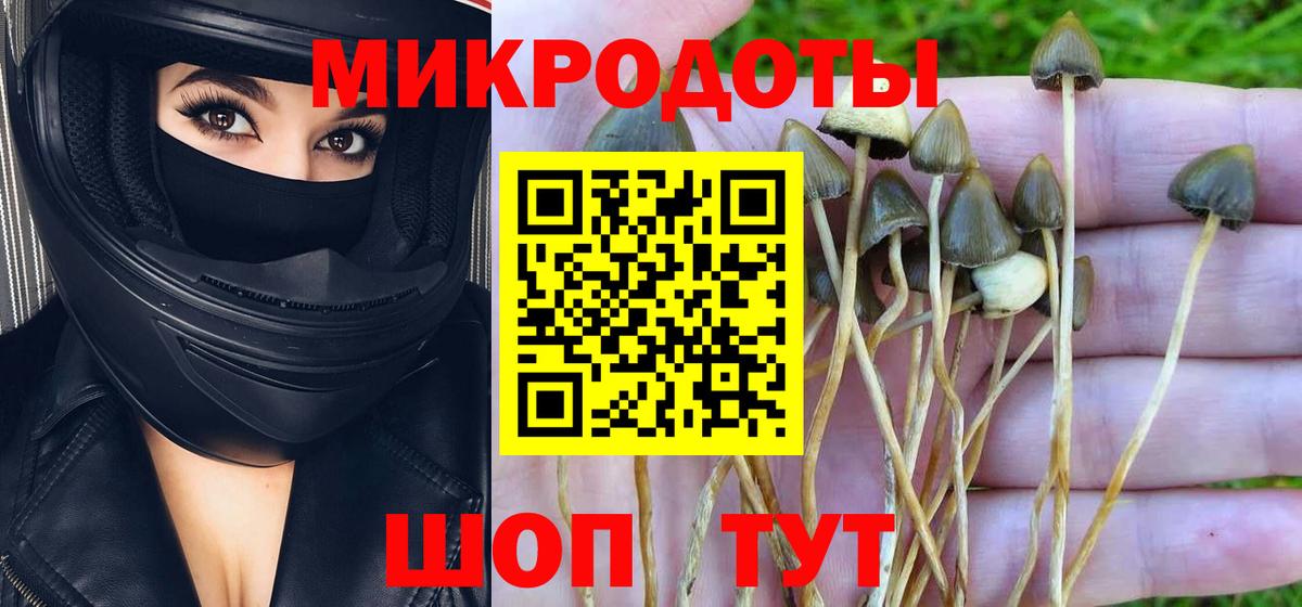 Хасавюрт  Галлюциногенные грибы ЛСД  Вход с VPN 